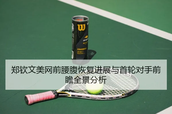 郑钦文美网前腰腹恢复进展与首轮对手前瞻全景分析 - HTH